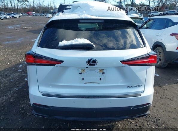 JTJGARDZ1L5005009 2020 LEXUS NX 300 White 