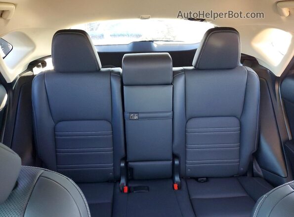 JTJGARDZ4L5002394 2020 LEXUS NX Silver Widok tylnych siedzeń