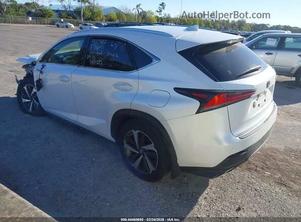 JTJGARDZ4L5007403 2020 LEXUS NX 300 White Задня ліва чверть