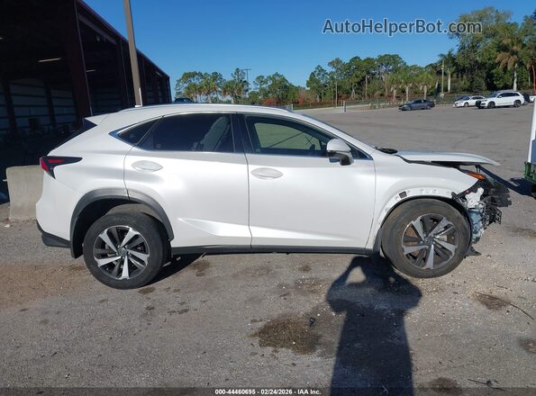 JTJGARDZ4L5007403 2020 LEXUS NX 300 White Панорамний вид салону 360°