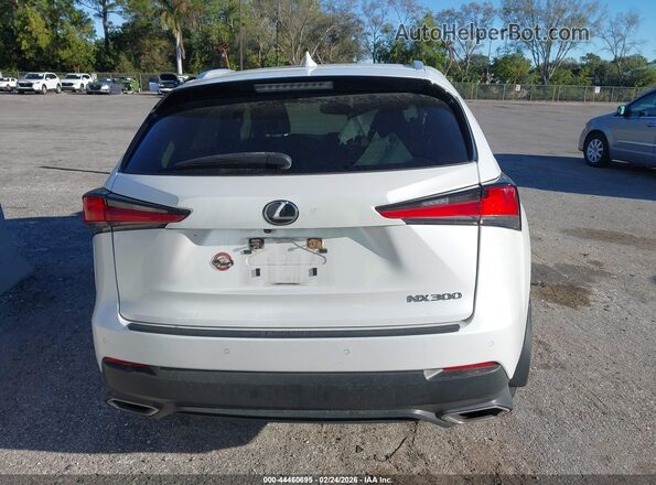 JTJGARDZ4L5007403 2020 LEXUS NX 300 White 