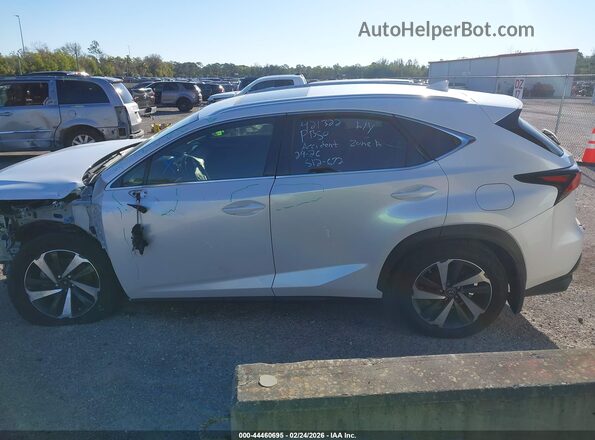 JTJGARDZ4L5007403 2020 LEXUS NX 300 White 