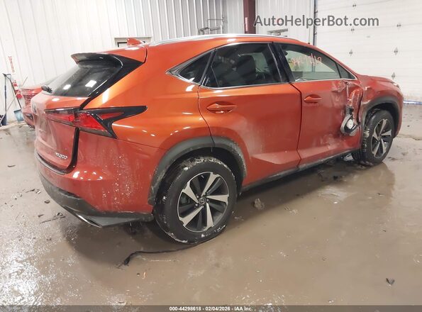 JTJGARDZ8L2230299 2020 LEXUS NX 300 Orange Հետևի աջ