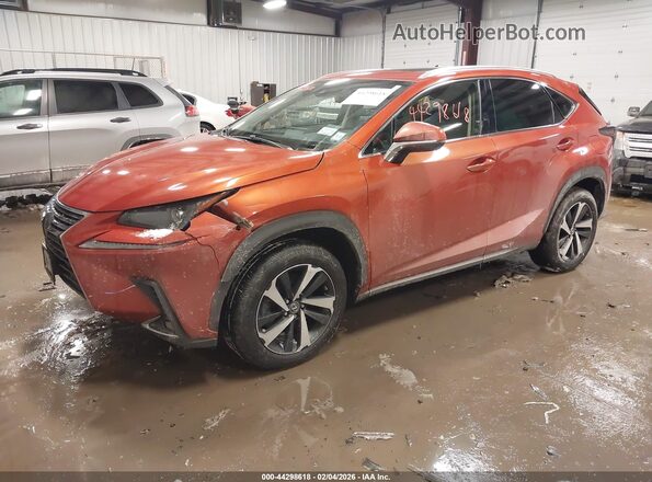 JTJGARDZ8L2230299 2020 LEXUS NX 300 Orange Առջևի ձախ երեք քառորդ տեսարան