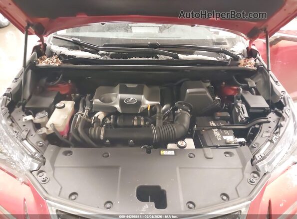 JTJGARDZ8L2230299 2020 LEXUS NX 300 Orange Հետևի տեսք