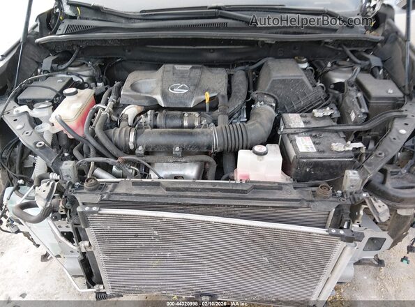 JTJGARDZ9L2235530 2020 LEXUS NX 300 Gray Հետևի տեսք