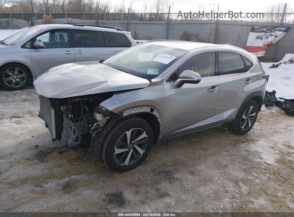 JTJGARDZ9L2235530 2020 LEXUS NX 300 Gray Առջևի ձախ երեք քառորդ տեսարան