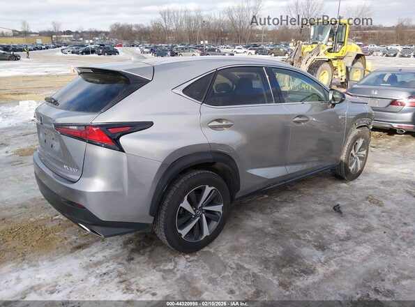 JTJGARDZ9L2235530 2020 LEXUS NX 300 Gray Հետևի աջ
