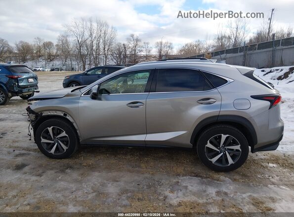 JTJGARDZ9L2235530 2020 LEXUS NX 300 Gray 
