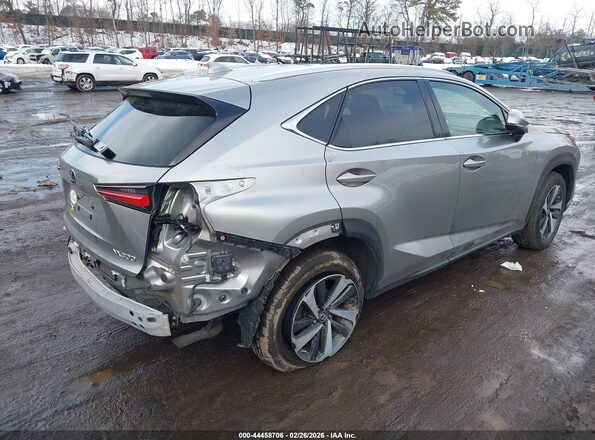 JTJGARDZ9M2243225 2021 LEXUS NX 300 Gray უკანა მარჯვენა