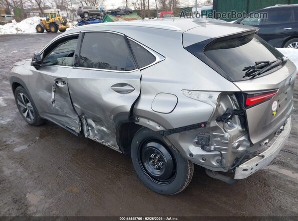 JTJGARDZ9M2243225 2021 LEXUS NX 300 Gray უკანა მარცხენა