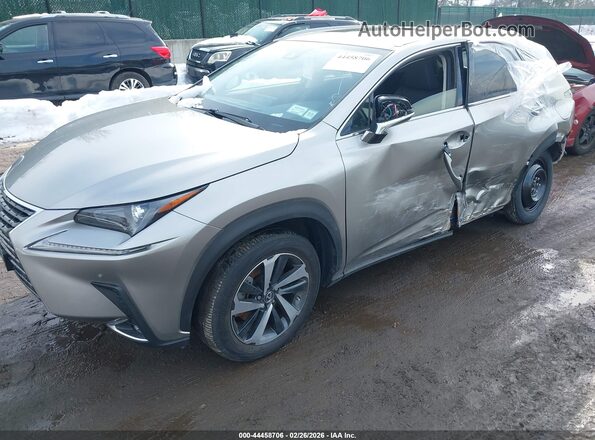 JTJGARDZ9M2243225 2021 LEXUS NX 300 Gray წინა ხედი