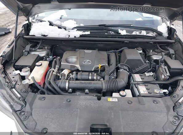 JTJGARDZ9M2243225 2021 LEXUS NX 300 Gray უკანა ხედი