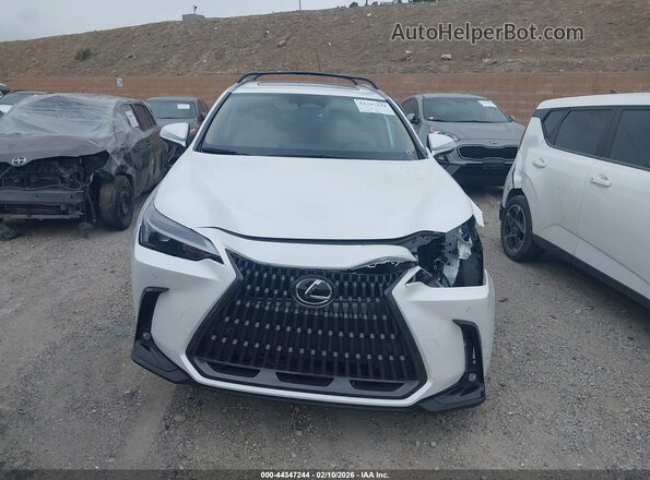 JTJGKCEZ0P2015191 2023 LEXUS NX 350H White Widok wnętrza z tyłu