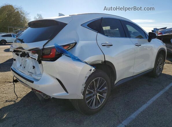 JTJGKCEZ1R2033489 2024 LEXUS NX White Rear right