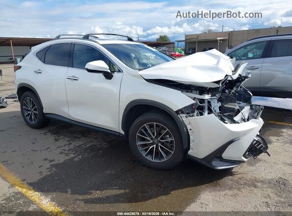 JTJGKCEZ4R2028934 2024 LEXUS NX 350H White სალონის 360-გრადუსიანი ხედი