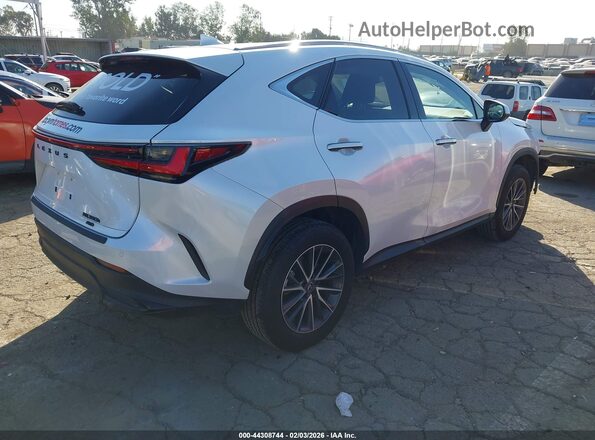 JTJGKCEZ4S5032941 2025 LEXUS NX 350H White უკანა მარჯვენა