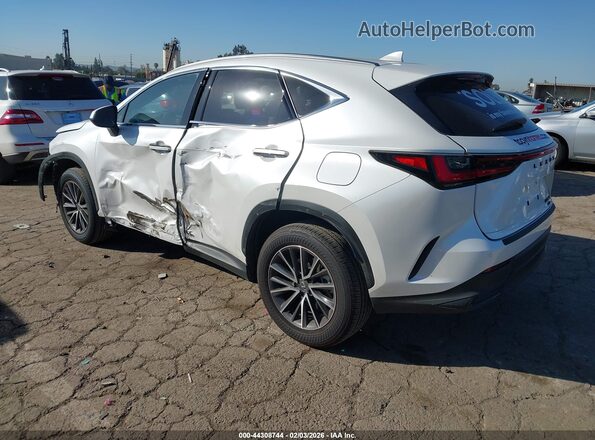 JTJGKCEZ4S5032941 2025 LEXUS NX 350H White უკანა მარცხენა