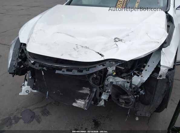 JTJGKCEZ5P2011315 2023 LEXUS NX 350H White 