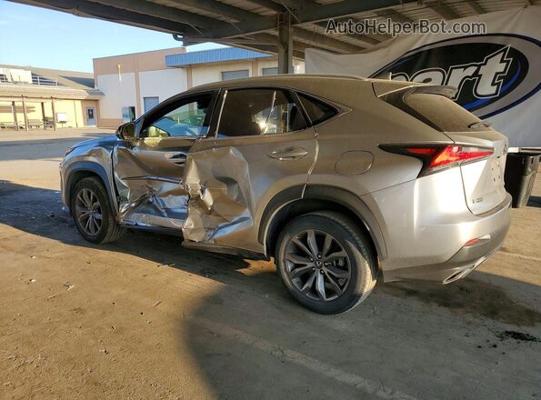 JTJJARBZ2L2159125 2020 LEXUS NX Gray Задня ліва чверть
