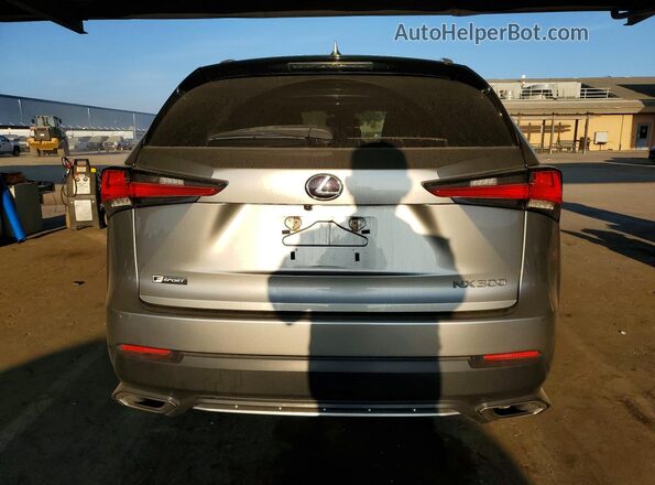 JTJJARBZ2L2159125 2020 LEXUS NX Gray Вид ззаду