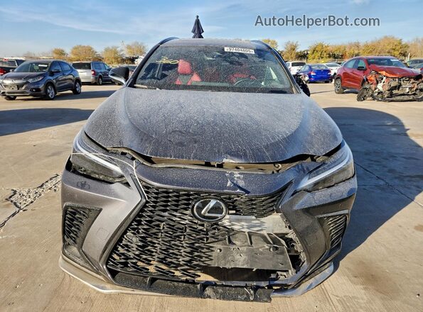 JTJKKCFZXR2034388 2024 LEXUS NX Gray Vista frontal
