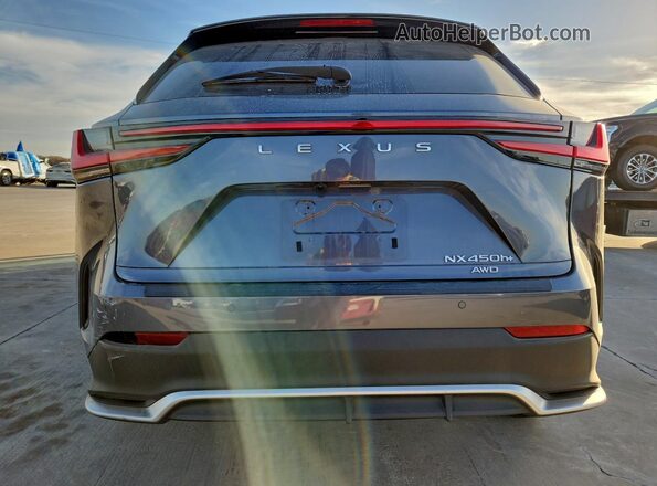JTJKKCFZXR2034388 2024 LEXUS NX Gray Vista trasera