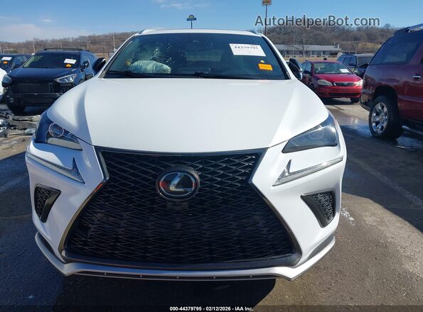 JTJSARBZ2L5008644 2020 LEXUS NX 300 White Vista del cuadro de instrumentos