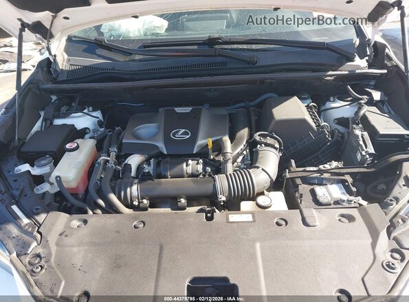 JTJSARBZ2L5008644 2020 LEXUS NX 300 White Vista trasera