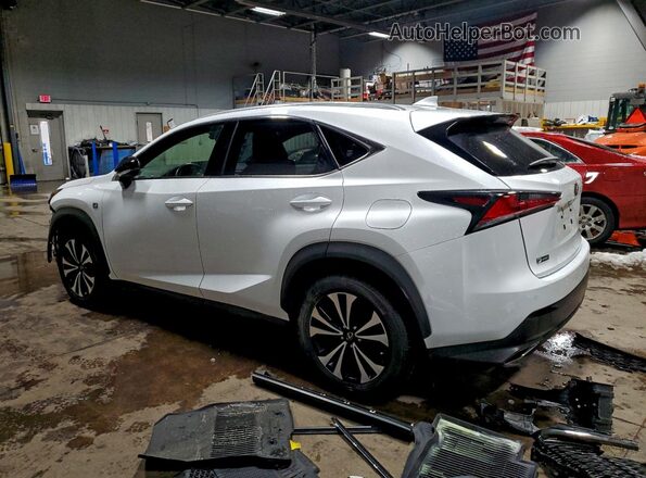 JTJSARDZ9M2255207 2021 LEXUS NX White Հետևի ձախ