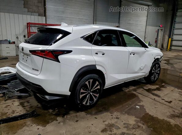 JTJSARDZ9M2255207 2021 LEXUS NX White Հետևի աջ