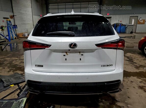 JTJSARDZ9M2255207 2021 LEXUS NX White Հետևի տեսք