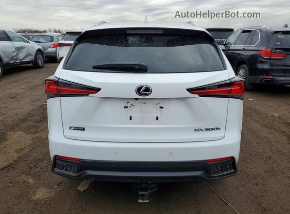 JTJSJRDZ4M5011592 2021 LEXUS NX White Rear view