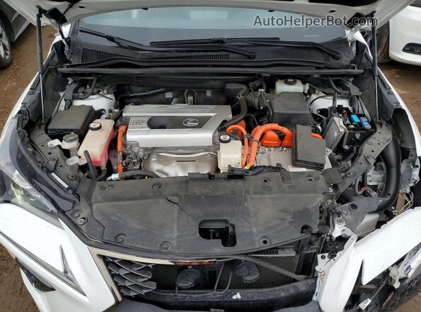 JTJSJRDZ4M5011592 2021 LEXUS NX White Engine compartment view