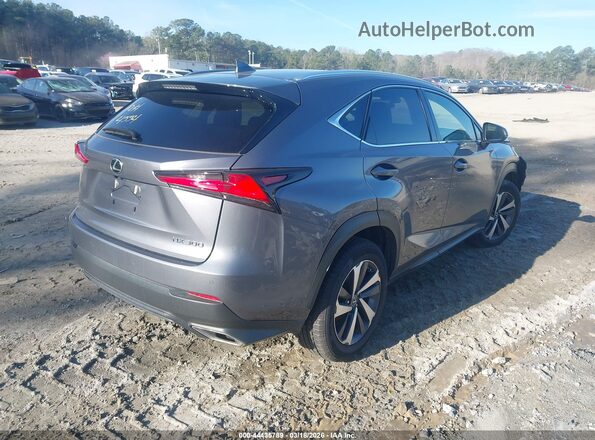JTJYARBZ0K2146368 2019 LEXUS NX 300 Gray Задня права чверть