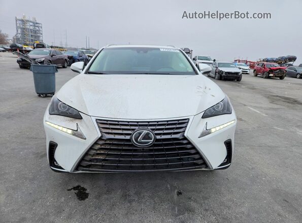 JTJYARBZ3K2156439 2019 LEXUS NX Белый Вид спереди