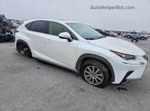 JTJYARBZ3K2156439 2019 LEXUS NX Белый Передняя правая четверть