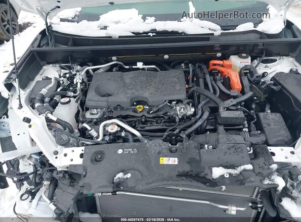 JTMAB3FV0SD253530 2025 TOYOTA RAV4 PLUG-IN HYBRID White Հետևի տեսք
