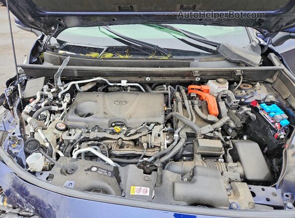 JTMAB3FV7MD017248 2021 TOYOTA RAV4 Blue 