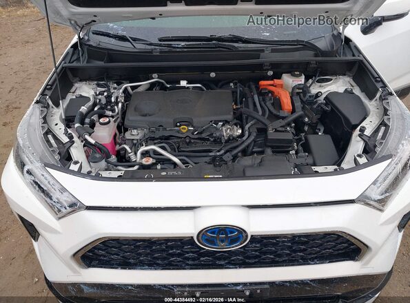 JTMAB3FV7PD160916 2023 TOYOTA RAV4 PRIME White Հետևի տեսք