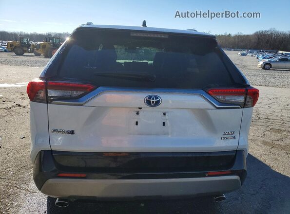 JTME6RFV5ND532033 2022 TOYOTA RAV4 Two Tone Հետևի տեսք