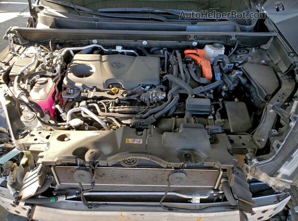 JTMEB3FV8PD155564 2023 TOYOTA RAV4 Gray Rear interior view