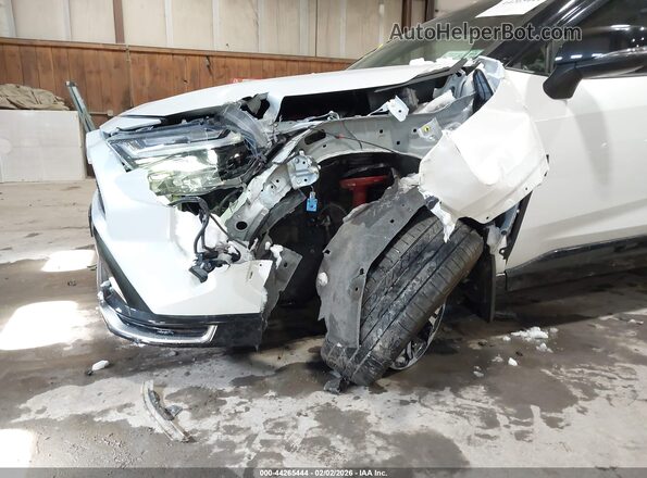 JTMEB3FV8RD204104 2024 TOYOTA RAV4 PRIME Белый Вид спереди