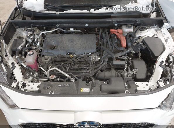 JTMEB3FV8RD204104 2024 TOYOTA RAV4 PRIME Белый Вид сзади