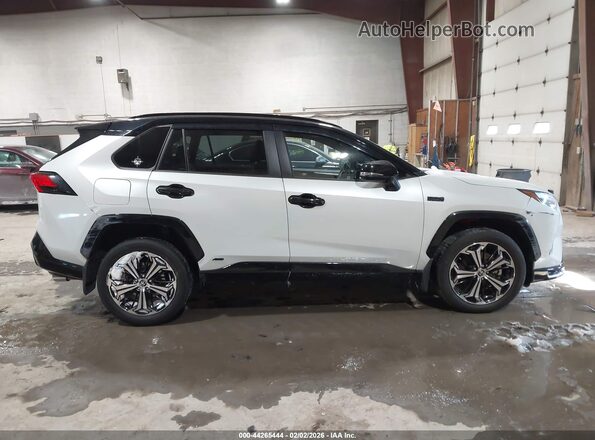 JTMEB3FV8RD204104 2024 TOYOTA RAV4 PRIME Белый Вид задней части салона