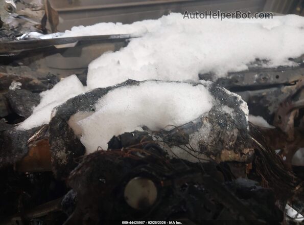 JTMEWRFV9LJ038448 2020 TOYOTA RAV4 HYBRID Синий Вид задних сидений