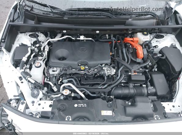 JTMFB3FV0RD203145 2024 TOYOTA RAV4 PRIME Белый Вид сзади