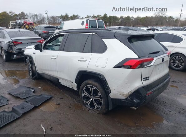 JTMFB3FV0RD203145 2024 TOYOTA RAV4 PRIME Белый Вид задней части салона