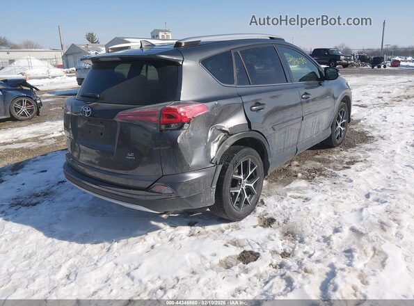 JTMJFREV6GD186867 2016 TOYOTA RAV4 Gray Trasero derecho