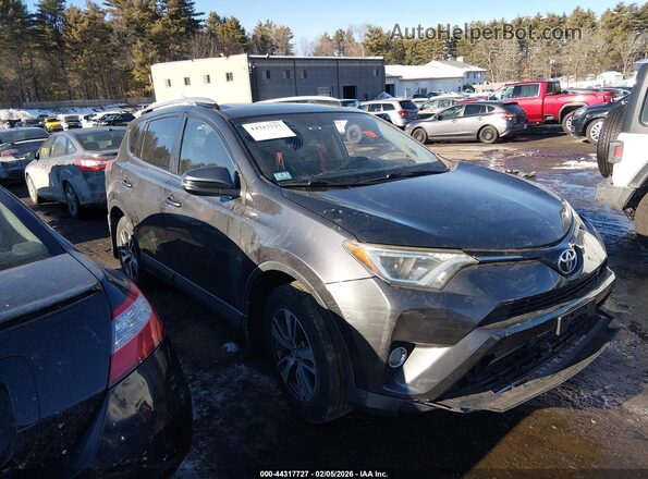 JTMRFREV2GJ064446 2016 TOYOTA LE Gray Vista interior trasera